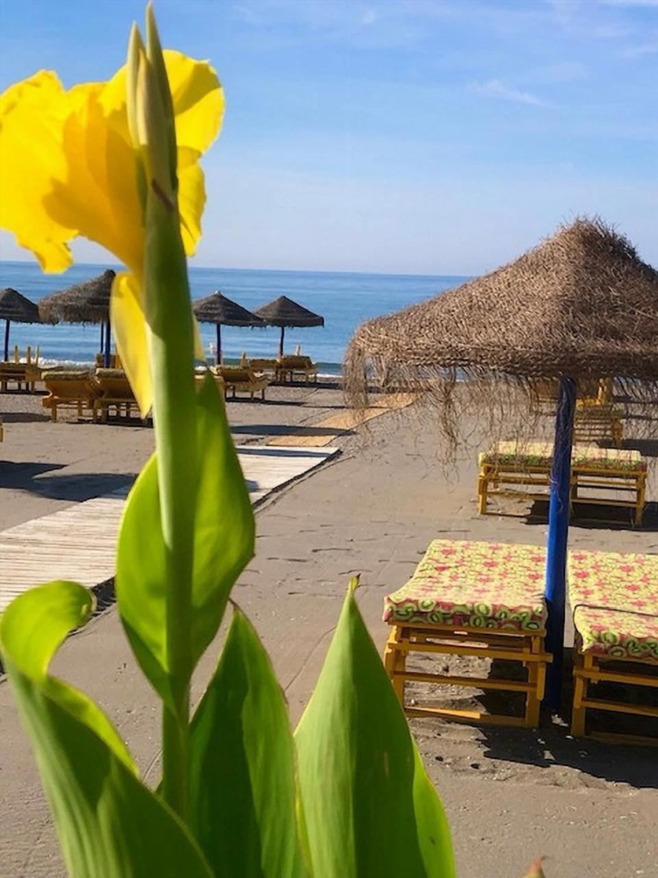 Spacious 1 Bedroom Apartment, Beach Front, Torrox Costa Exterior foto